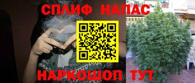 прущие крисы Будённовск