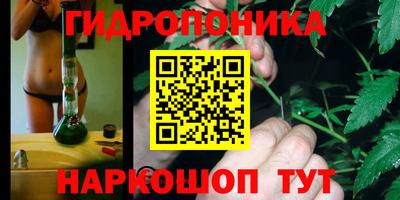 прущие крисы Будённовск