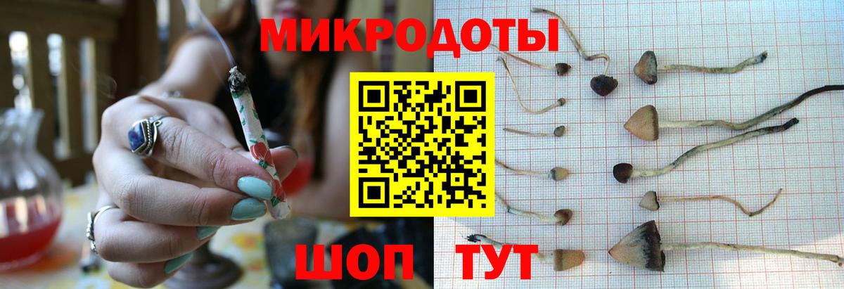 Псилоцибиновые грибы Psilocybe Рубцовск